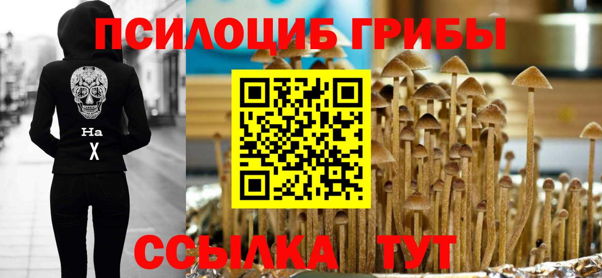 Псилоцибиновые грибы Psilocybine cubensis Реж