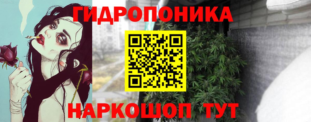 Реж  Конопля THC 21%  Вход с VPN  Марихуана OG Kush  Марихуана SATIVA & INDICA 
